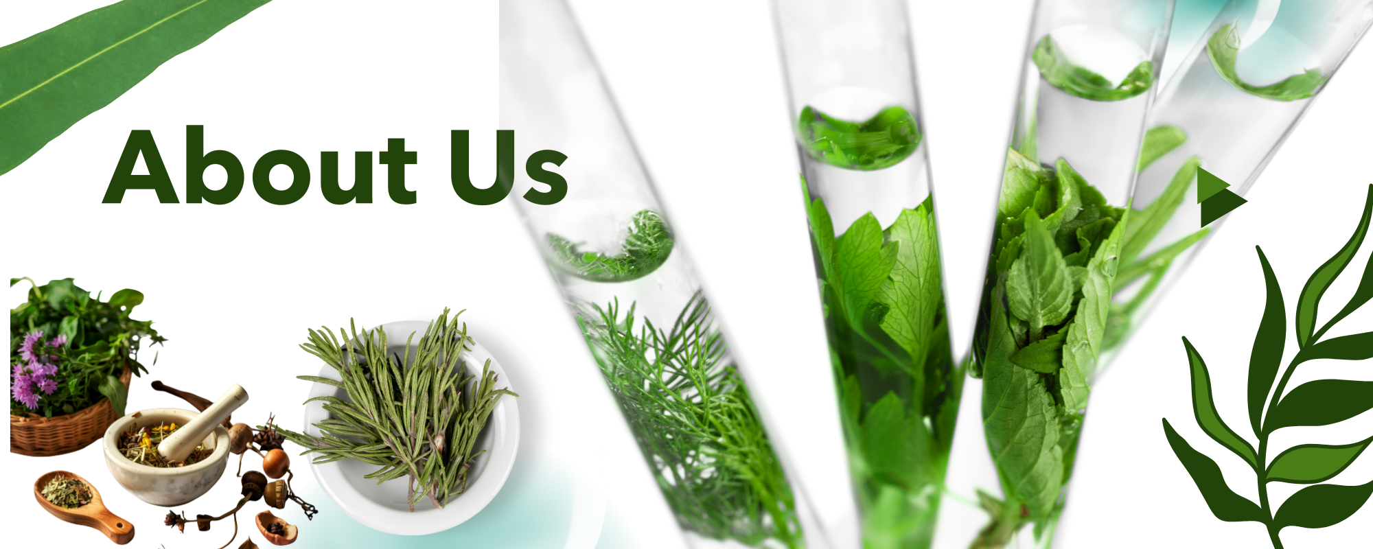 about us